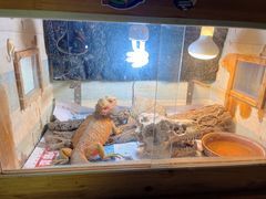 -Rabbit Cafe私房西餐甜点咖啡(栖霞路店)