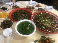 -东吴霸王兔(松青路店)