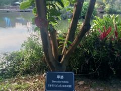 -厦门悦华酒店