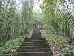 -沐川竹海旅游景区