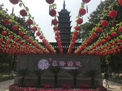 -常熟方塔园