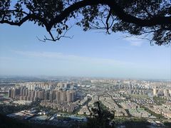 -惠山国家森林公园