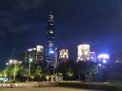 -大灰狼(中心书城店)