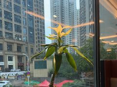 -船家渔(徐州北路店)