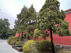 -北京市劳动人民文化宫(太庙)