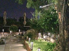 -蘇河湾·新鲁菜·泰山宴(泰山店)