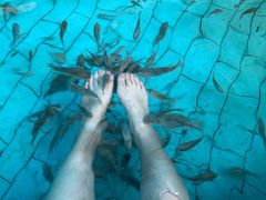 -汕头莲花山度假村温泉