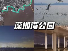 -深圳湾公园(南山区)