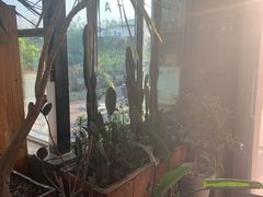 -北马山庄植趣咖啡