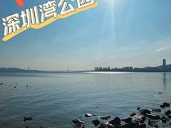 -深圳湾公园(南山区)