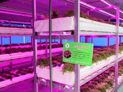 -兰陵国家农业公园