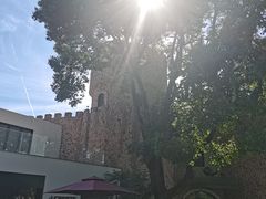 -J Create城市露营咖啡·简餐·宠物(上海动物园店)