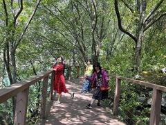 -叠溪松坪沟景区