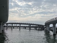 -演武大桥观景平台