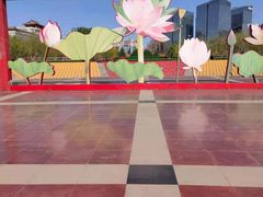 -莲花池公园