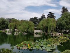 景点-汉庭顿图书馆