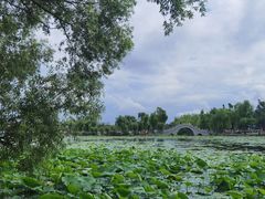 -长春市南湖公园