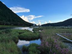 -腾冲北海湿地
