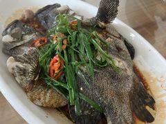 -众味海鲜大排档·活海鲜·潮汕味(南澳店)