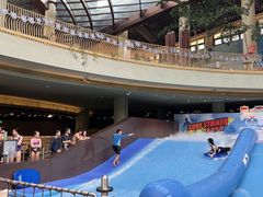 -香港海洋公园