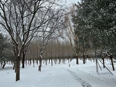 -古塔公园