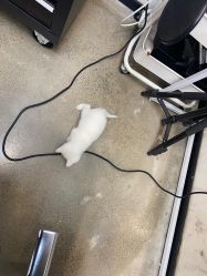 -蚂蚁造型俱乐部