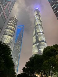 -巍阁高端月子会所