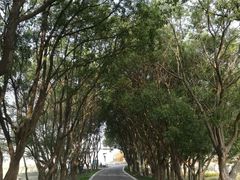 -同里国家湿地公园