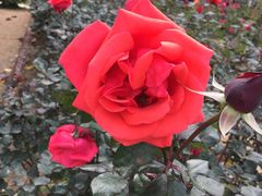 -人民公园(罗湖区)