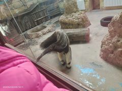 -济南野生动物世界