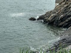 -大连蚂蚁岛度假区