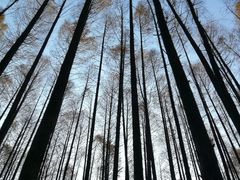 -山王坪喀斯特国家生态公园