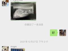 -泰洋动物医院·神经专科·磁共振·CT(天河公园总院)
