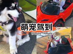 -龙湖重庆时代天街