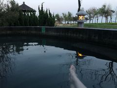 -青岛海泉湾度假区温泉