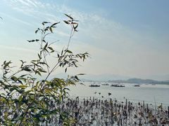 -湖畔居茶楼(湖滨店)