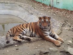 -栾川竹海野生动物园