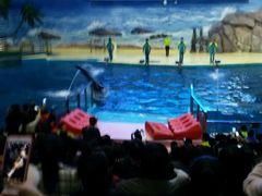 景点-福州罗源湾海洋世界旅游区