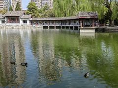 -团结湖公园