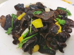 藕尖木耳-东方饺子王(和平里店)