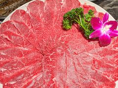 -禄婶鸡煲·打边炉