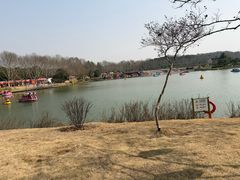 -宜兴龙背山森林公园