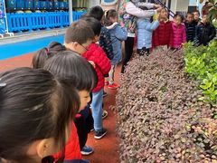 -泰宁田林幼儿园