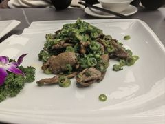 -芙蓉凰花园酒楼