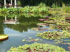 -国家植物园南园