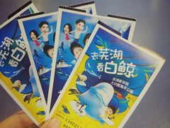 -芜湖新华联大白鲸海洋公园