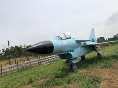-空港花田景区