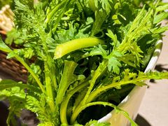 -浩爷羊蝎子火锅(望京店)
