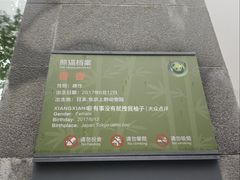 -中国大熊猫保护研究中心雅安碧峰峡基地