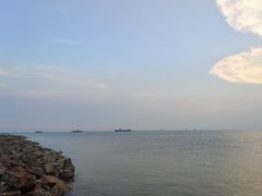 -奉贤海滩